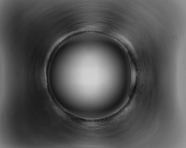 X0000092240792200709211042