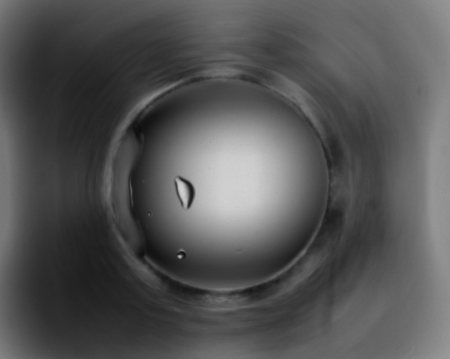 X0000092240795200709211042