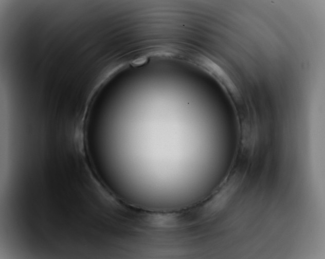 X0000092240802200709211042
