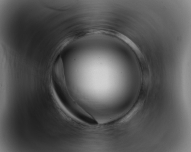 X0000092240809200709211042