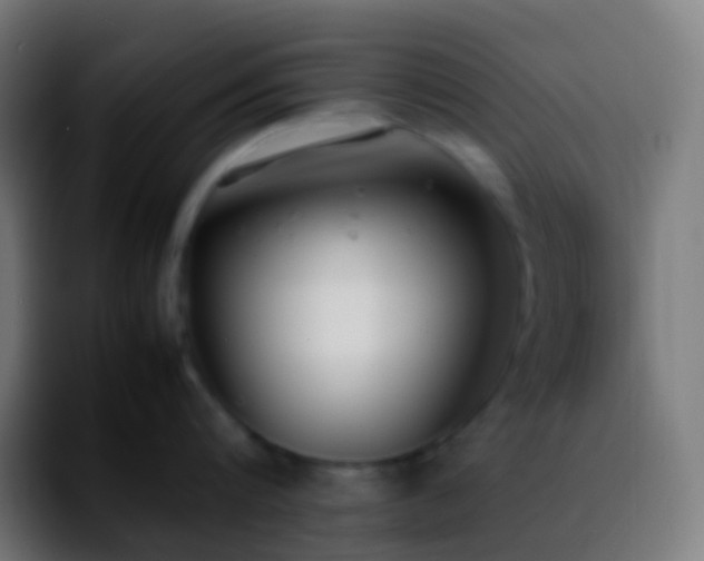 X0000092240816200709211042