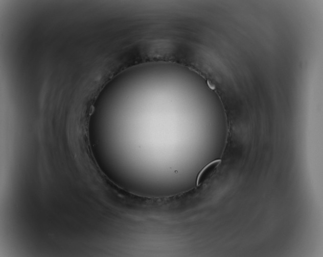 X0000092240817200709211042