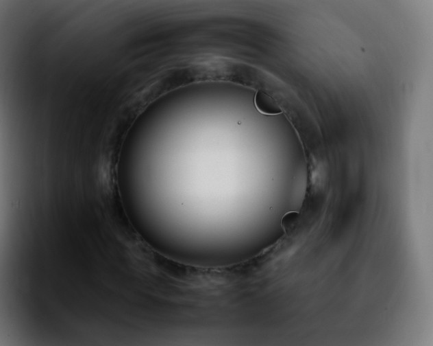 X0000092240819200709211042