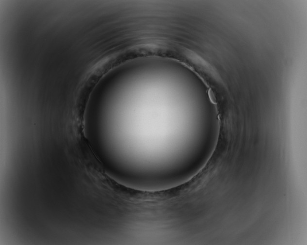 X0000092240822200709211042