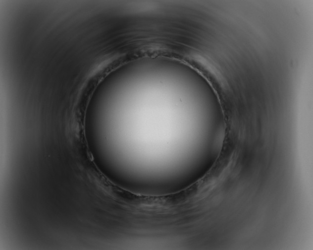 X0000092240823200709211042