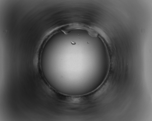 X0000092240831200709211042