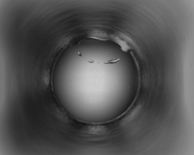 X0000092240833200709211042