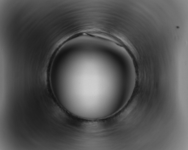 X0000092240834200709211042