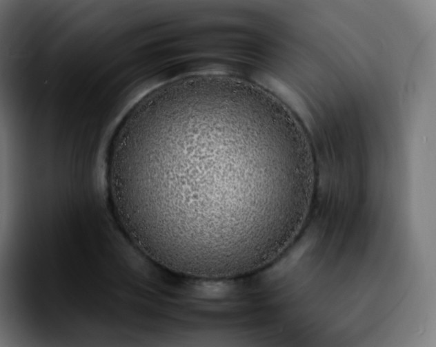 X0000092240835200709211042