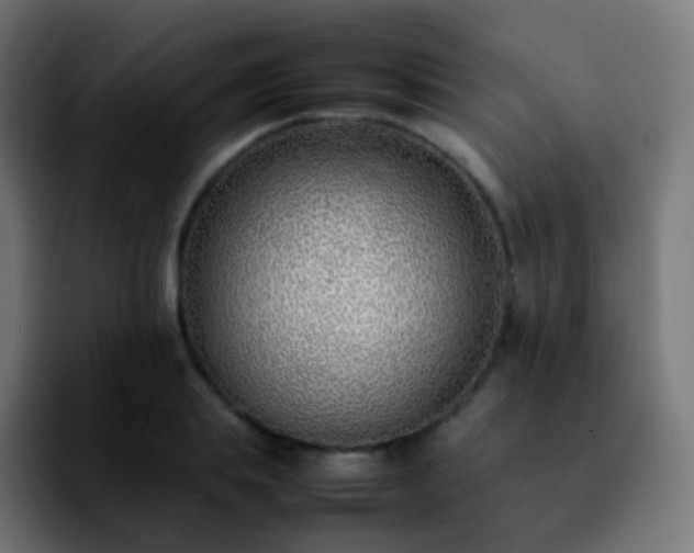 X0000092240839200709211042
