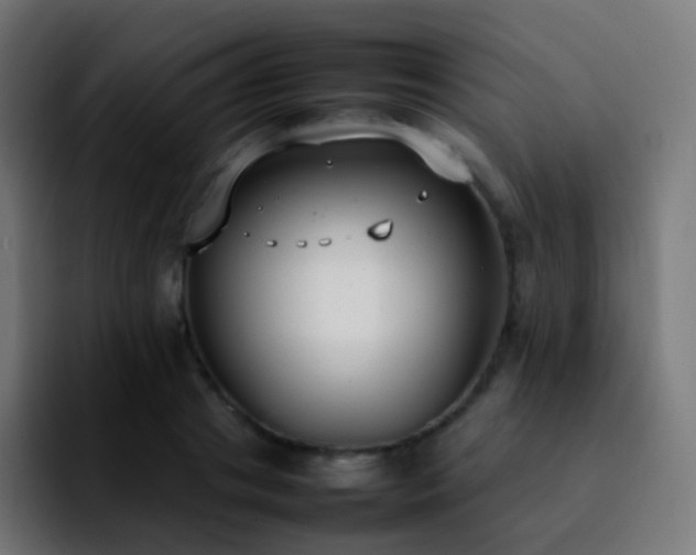 X0000092240841200709211042