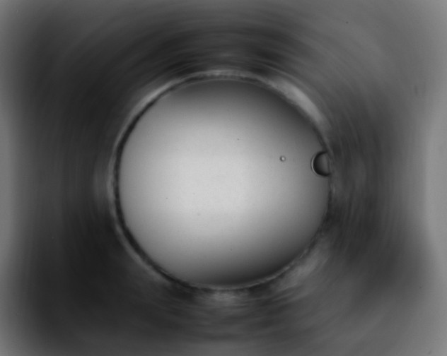 X0000092240847200709211042