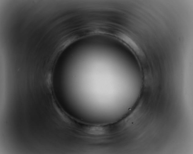 X0000092240849200709211042