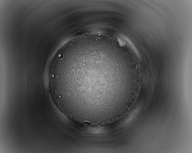 X0000092240851200709211042