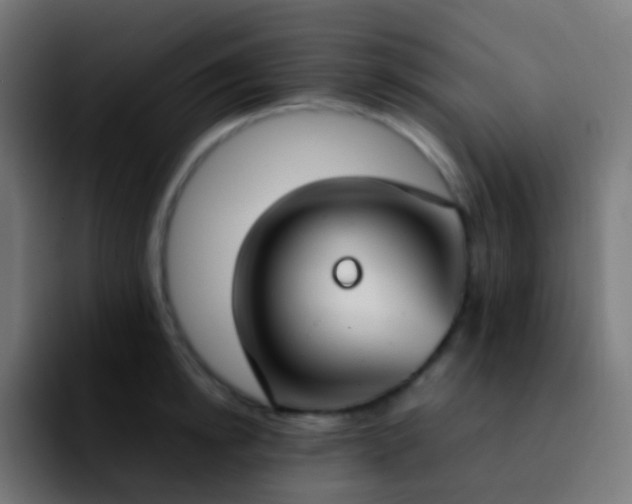 X0000092240854200709211042