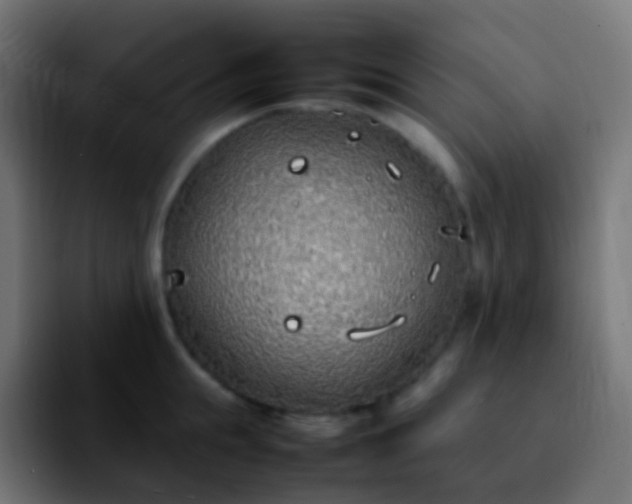 X0000092240855200709211042