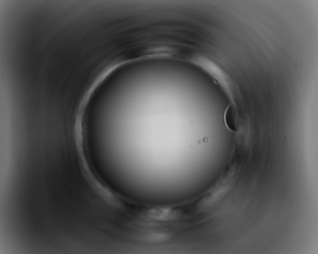 X0000092240859200709211042