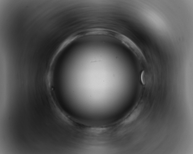 X0000092240860200709211042