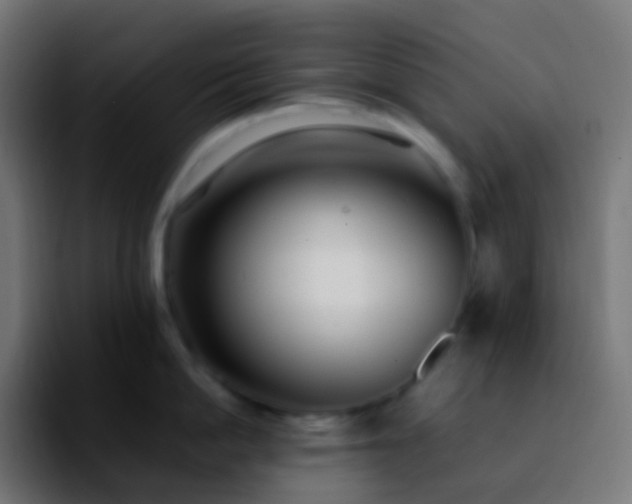 X0000092240862200709211042