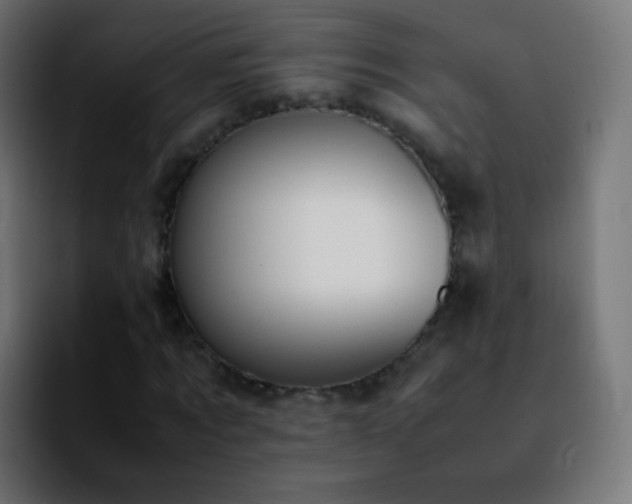 X0000092240869200709211042