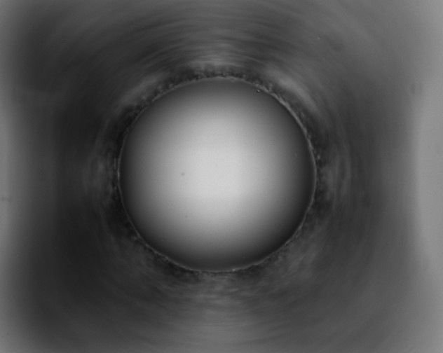 X0000092240870200709211042