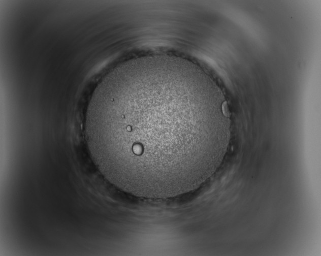 X0000092240871200709211042