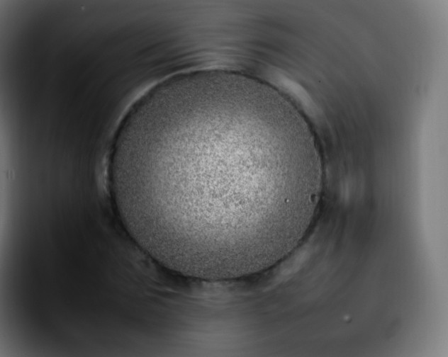 X0000092240875200709211041