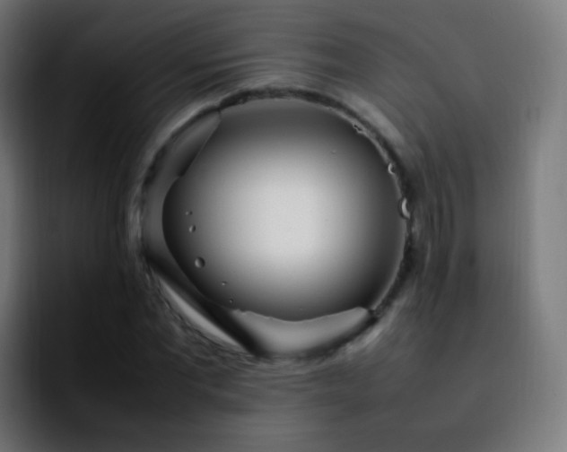 X0000092240877200709211041