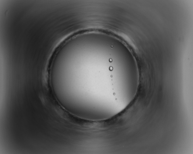 X0000092240879200709211041