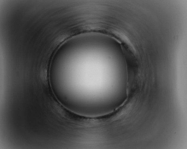 X0000092240881200709211041