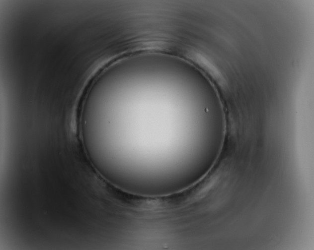 X0000092240883200709211041