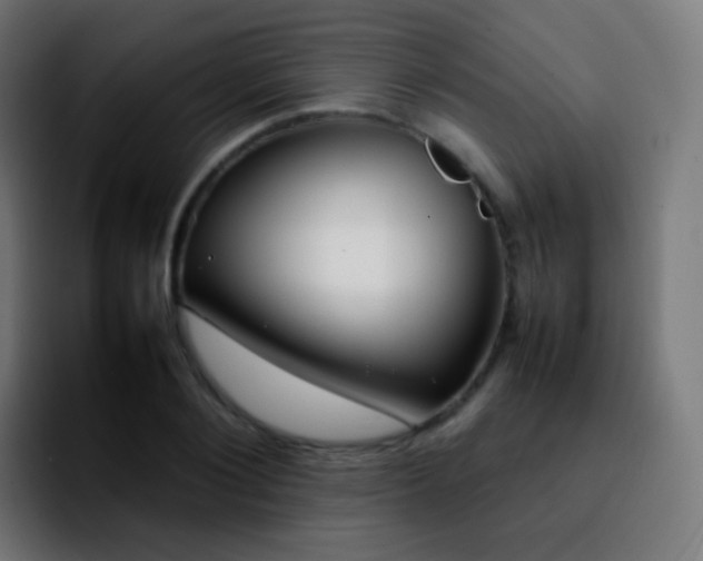 X0000092240884200709211041