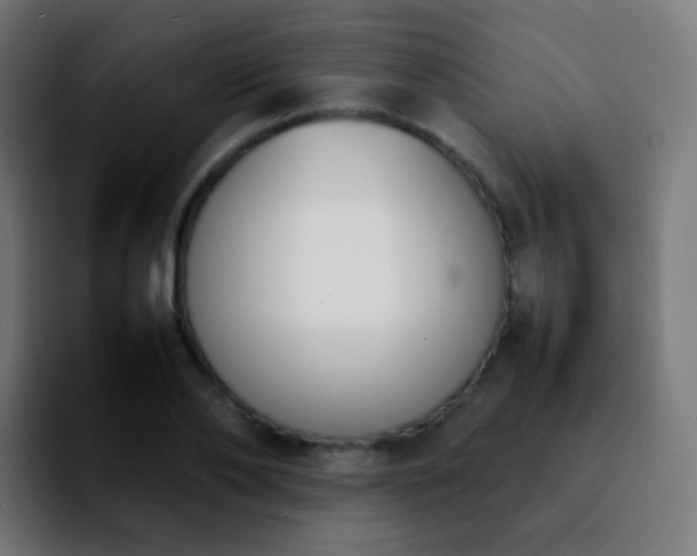 X0000092240886200709211041