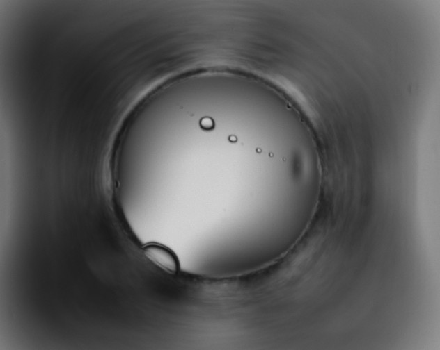 X0000092240887200709211041