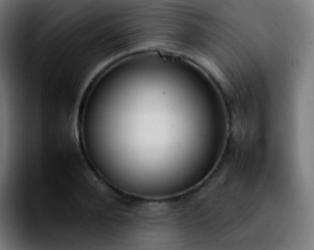 X0000092240888200709211041