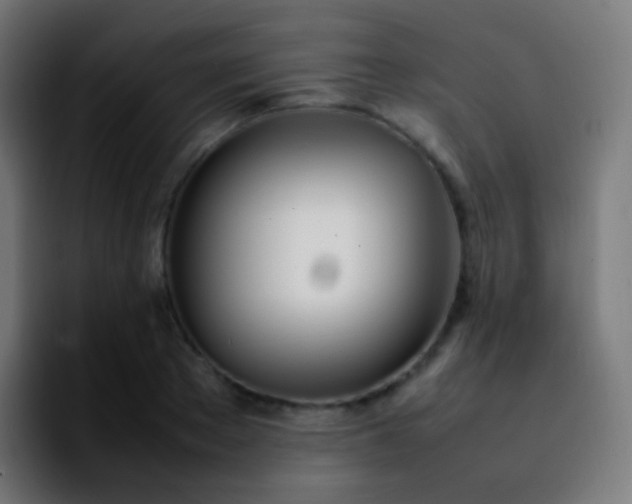 X0000092240889200709211041