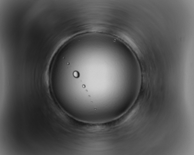 X0000092240891200709211041