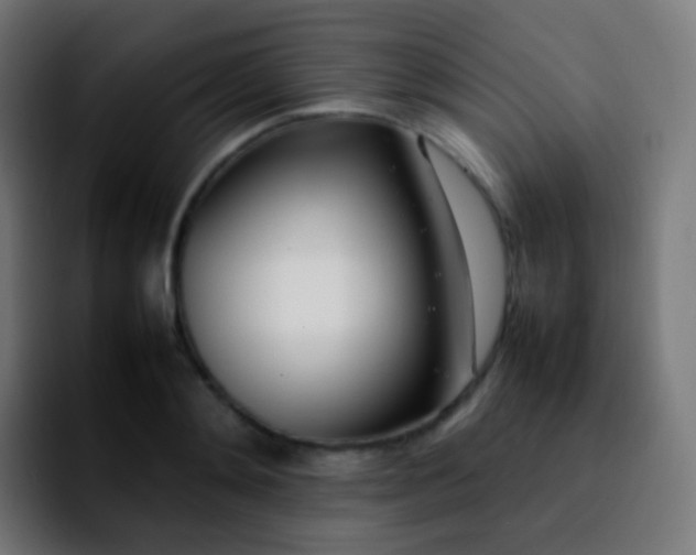 X0000092240892200709211041