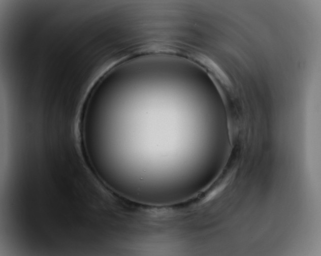 X0000092240893200709211041