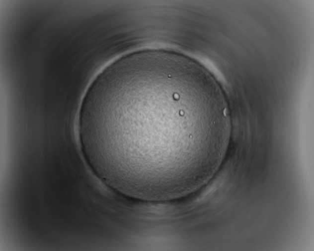 X0000092240895200709211041