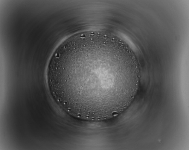 X0000092240899200709211041