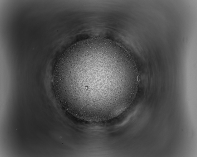 X0000092240913200709211040