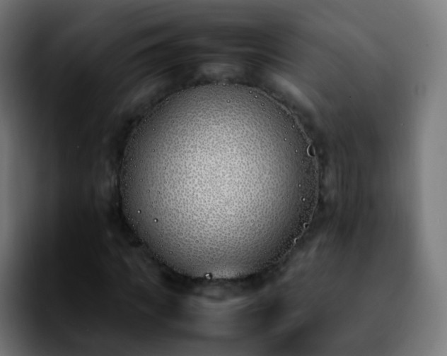 X0000092240917200709211041