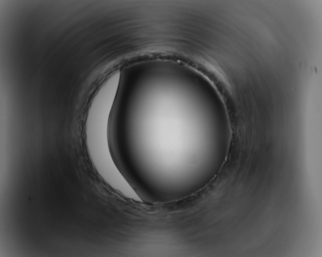 X0000092240920200709211041