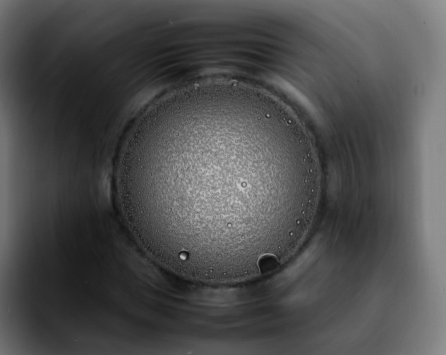 X0000092240921200709211041