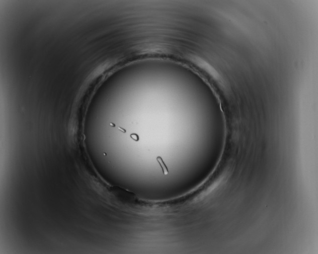 X0000092240922200709211041