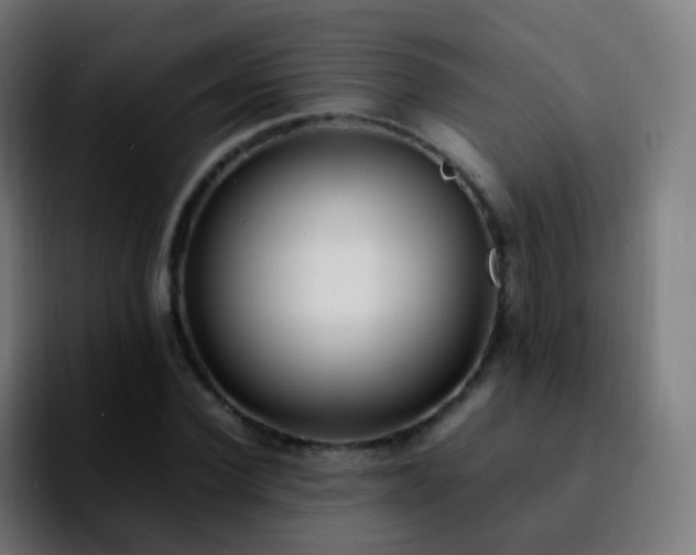 X0000092240924200709211041