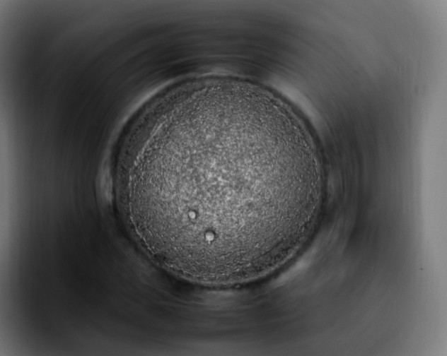 X0000092240925200709211041