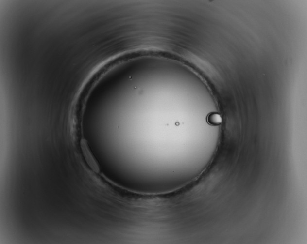 X0000092240926200709211041
