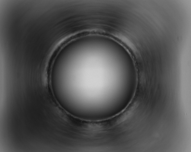 X0000092240927200709211041